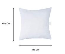 Load image into Gallery viewer, Amazon Brand - Solimo Microfibre Filled Cushion,16x16 Inch, Set of 5 - Home Decor Lo