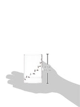 Load image into Gallery viewer, Borosil - Vision Black Krip Medium Glass, 295ml - Pack of 6 - Home Decor Lo