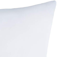 Load image into Gallery viewer, Amazon Brand - Solimo Microfibre Filled Cushion,16x16 Inch, Set of 5 - Home Decor Lo