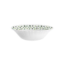 Load image into Gallery viewer, Larah by Borosil Sage Silk Series Opalware Dinner Set, 19 Pieces, White - Home Decor Lo