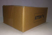Load image into Gallery viewer, Kittens Contrast Striped Soup Bowls With Ceramic Spoon - Home Decor Lo