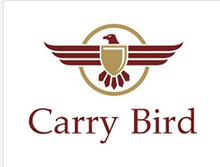 Load image into Gallery viewer, Carry Bird Swing Chair with Stand, Cushion & Hook - Home Decor Lo