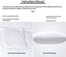Load image into Gallery viewer, Comfort Store Hotel Quality Hollow Fiber Filler Cushion (16X16 Inches; White) -Set of 2 - Home Decor Lo