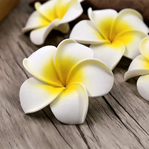 Satyam Kraft Big Foam Hawaii Beach Flowers(Pack of 24) For Wedding Box, Hat Decoration,DIY Artificial Garland Supplies(6 cm) White - Home Decor Lo