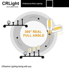 Load image into Gallery viewer, Citra Led Vintage Edison Bulbs,Antique Retro Incandescent Light Bulb 4W Squirrel Cage Filament Light Bulb T45 Classic Amber Glass E26/E27 Medium Base Dimmable (2 Pack) - Home Decor Lo