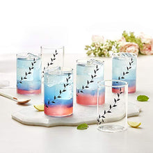 Load image into Gallery viewer, Borosil - Vision Black Krip Medium Glass, 295ml - Pack of 6 - Home Decor Lo