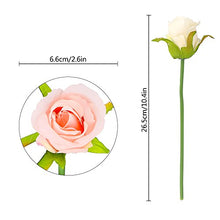 Load image into Gallery viewer, CEWOR 2 Packs Artificial Rose Flowers Bouquet 24 Heads Silk Flowers Rose for Home Bridal Wedding Party Festival Decor (Champagne) - Home Decor Lo