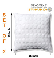 Load image into Gallery viewer, Dreamfactory 400 GSM Knitted Fabric Set of 2 16x16 Inch Soft Fluffy Throw/Pillow Cushion Filler - Home Decor Lo