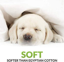 Load image into Gallery viewer, YRM Bedding's 500TC Egyptian Cotton Extra Soft Material Bedsheets Single Bed Flat Sheet with Pillow Covers, (17x27 | Black) - Home Decor Lo