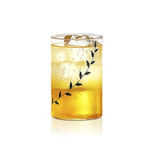 Load image into Gallery viewer, Borosil - Vision Black Krip Medium Glass, 295ml - Pack of 6 - Home Decor Lo