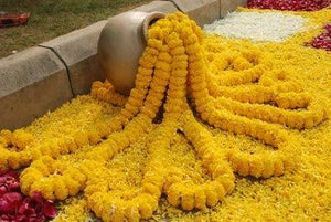 Krisah Artificial Marigold Fluffy Flowers Garland/Genda Phool Ladi-5 FT for Decoration (Yellow, 5) - Home Decor Lo