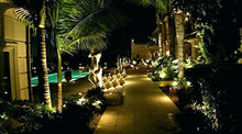 Load image into Gallery viewer, D’Mak™ LED Outdoor Garden Spot And Spike 3W IP65, Warm White 3000K, With 1 Year Warranty, Aluminium Body (3Watt) - Set of 2 | garden lights | | 3w garden light | - Home Decor Lo