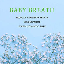Load image into Gallery viewer, Bomarolan Artificial Baby Breath Flowers Fake Gypsophila Bouquets 12 Pcs Fake Real Touch Flowers for Wedding Decor DIY Home Party(White) - Home Decor Lo