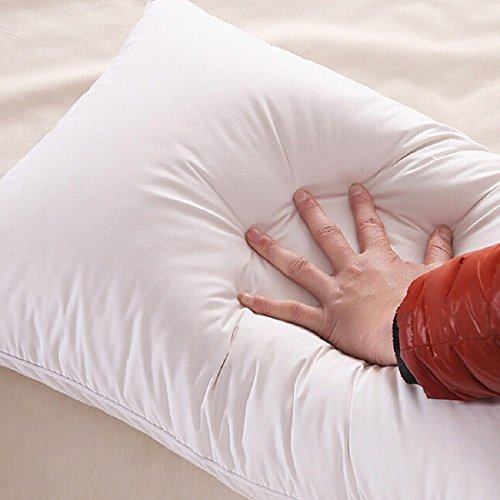 JDX Reliance Polyester Blend Fiber Pillow, White -Set of – Home