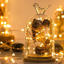 Load image into Gallery viewer, Citra 30 Led 3 Meter Battery Operated Sliver String Light Fairy Lights for Diwali/Festival/Wedding/Gifting/Xmas/New Year - Warm White (Pack of 2) - Home Decor Lo