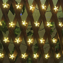 Load image into Gallery viewer, 20 Flower LED Curtain String Window Lights
