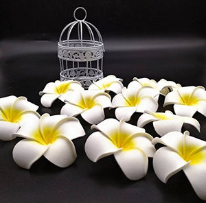 Satyam Kraft Big Foam Hawaii Beach Flowers(Pack of 24) For Wedding Box, Hat Decoration,DIY Artificial Garland Supplies(6 cm) White - Home Decor Lo