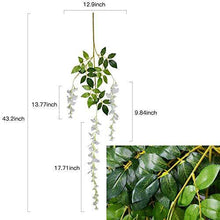 Load image into Gallery viewer, 12 Pack 1 Piece 3.6 Feet Artificial Fake Wisteria Vine Ratta Hanging Garland Silk Flowers String Home Party Wedding Decor (White) - Home Decor Lo