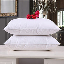 Load image into Gallery viewer, Clasiko Microfiber Cushion Fillers (16x16-inches, White) - Pack of 2 - Home Decor Lo
