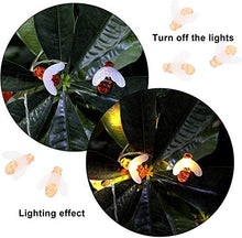 Load image into Gallery viewer, Itmumbai Honeybee Fairy String Lights, Plug in String Lights 16LED Warm White Lights for Party/Birthday/Wedding/Christmas Indoor Outdoor Decoration - Home Decor Lo