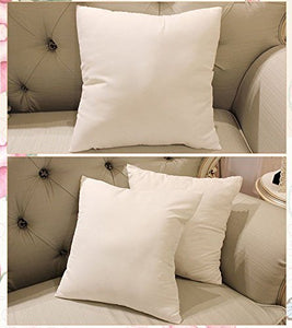 JDX White Filler Cushion (12X12) or 30X30 cm (Set of 5) - Home Decor Lo