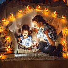 Load image into Gallery viewer, Itmumbai Honeybee Fairy String Lights, Plug in String Lights 16LED Warm White Lights for Party/Birthday/Wedding/Christmas Indoor Outdoor Decoration - Home Decor Lo