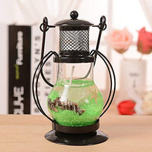 Load image into Gallery viewer, biZyug Home Decorative Lantern Gel Candle, Hanging Lantern Gel Candle for Navratri, Diwali, Christmas & Wedding Decorations - Home Decor Lo