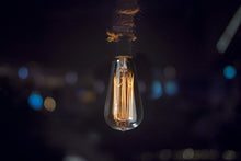 Load image into Gallery viewer, Antique Vintage Edison Glass Bulb with Squirrel Cage Filament - Home Decor Lo