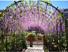 Load image into Gallery viewer, Artificial Silk Wisteria Vine Rattan Garland Fake Hanging Flower Party Home Garden Outdoor Ceremony Floral Decor,3.18 Feet, 6 Pieces (Purpule-2) - Home Decor Lo