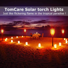 Load image into Gallery viewer, Voroly Solar Garden Light Scene Torch Mashaal Light: Pack Of 1 - Home Decor Lo