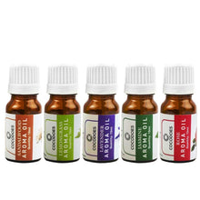 Load image into Gallery viewer, Cocodoes Aroma Oil Rose Lemon Grass Jasmine Lavender Sandalwood Glass Diffuser, 10ml (Multicolour, CD-AROMAOIL-5PC) - Home Decor Lo