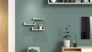 Decostyle Urus Floating Wall Shelf/Wall Display Rack- Set of 3 (Frosty White, Pack of 1) - Home Decor Lo