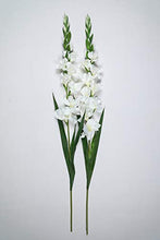 Load image into Gallery viewer, PolliNation Classic White Gladiolus Artificial Flowers for Home Office Decoration (Pack of 2, 44 INCH) - Home Decor Lo