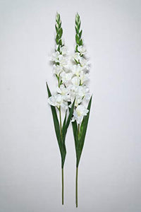 PolliNation Classic White Gladiolus Artificial Flowers for Home Office Decoration (Pack of 2, 44 INCH) - Home Decor Lo