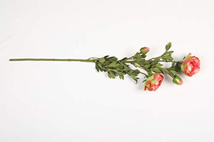 PolliNation Decorative Orange Ranunculus Artificial Flower (Pack of 2, 28 INCH) - Home Decor Lo