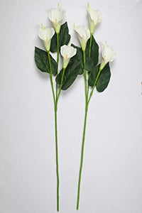 PolliNation Natural Looking Real Touch White Callalily Artificial Flowers for Home Decoration(Pack of 2, 34 INCH) - Home Decor Lo