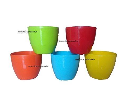 Minerva Naturals GARDENS NEED Cool Pot (Pack of 5, Multicolour) - Home Decor Lo