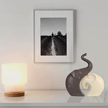Load image into Gallery viewer, LADROX Lavish Matte Home Décor Elephant Set | Ceramic Figurines - (Set of 2 Piece, Brown Cream)
