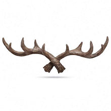 Load image into Gallery viewer, House of Quirk Deer Antlers Wall Mount Hooks for Wall Hanger Key Storage Holder Rack Wall Mount Home Decor (Size: 38cm x 4cm x 12cm) - Dark Brown - Home Decor Lo