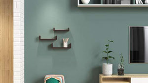 Decostyle Urus Floating Wall Shelf/Wall Display Rack- Set of 3- Natural Magogany - Home Decor Lo