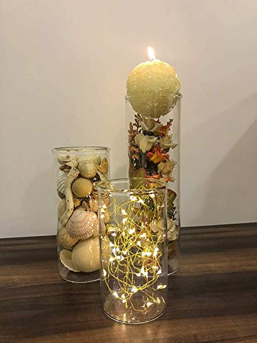 10 VASE (GLASS CYLINDER) - A&J Party Center 10 VASE (GLASS CYLINDER) - A&J Party Center