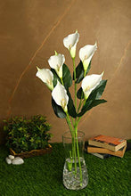 Load image into Gallery viewer, PolliNation Natural Looking Real Touch White Callalily Artificial Flowers for Home Decoration(Pack of 2, 34 INCH) - Home Decor Lo