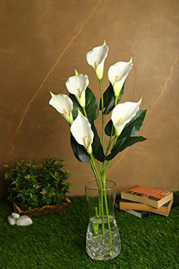 PolliNation Natural Looking Real Touch White Callalily Artificial Flowers for Home Decoration(Pack of 2, 34 INCH) - Home Decor Lo