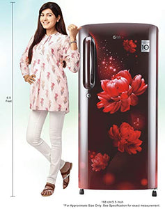 LG 190 L 4 Star Inverter Direct-Cool Single Door Refrigerator (GL-B201ASCY, Scarlet Charm) - Home Decor Lo