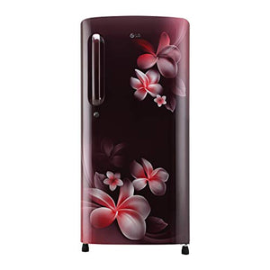 LG 190 L 4 Star Inverter Direct-Cool Single Door Refrigerator (GL-B201ASPY, Scarlet Plumeria) - Home Decor Lo