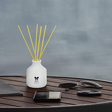 Load image into Gallery viewer, IRIS Reed Diffuser with Ceramic Pot - Lemon Grass - Home Fragrances - Risk-Free - Easy to use - 60 ml - Home Decor Lo
