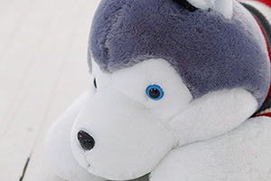 Chocozone Husky Dog Soft Toy Birthday Gift for Kids- Dog Lovers, 70cm - Home Decor Lo