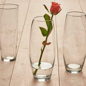 Revinox Botanic Glass Flower Vase (10.5 inch)