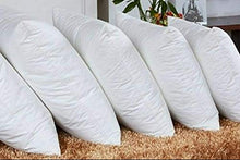 Load image into Gallery viewer, Leo fab Presents Microfiber No Filler Cushion (White, 16 x 16) Set of 5 - Home Decor Lo