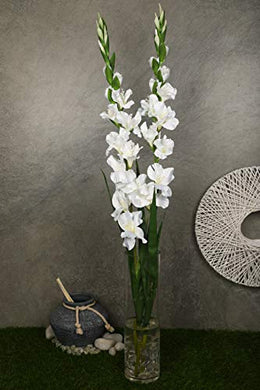 PolliNation Classic White Gladiolus Artificial Flowers for Home Office Decoration (Pack of 2, 44 INCH) - Home Decor Lo